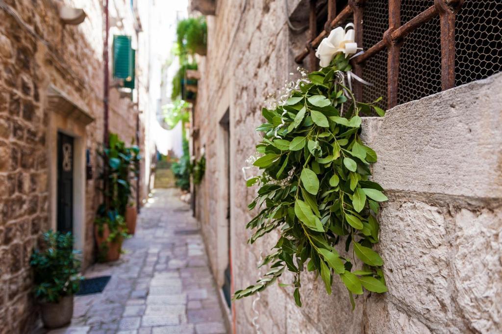 Angelus Apartments Dubrovnik Buitenkant foto